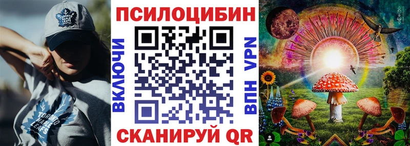 Галлюциногенные грибы GOLDEN TEACHER где купить наркоту Славянск-на-Кубани